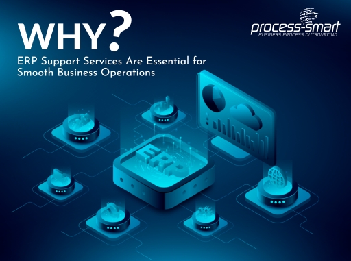 ERP Support Services
